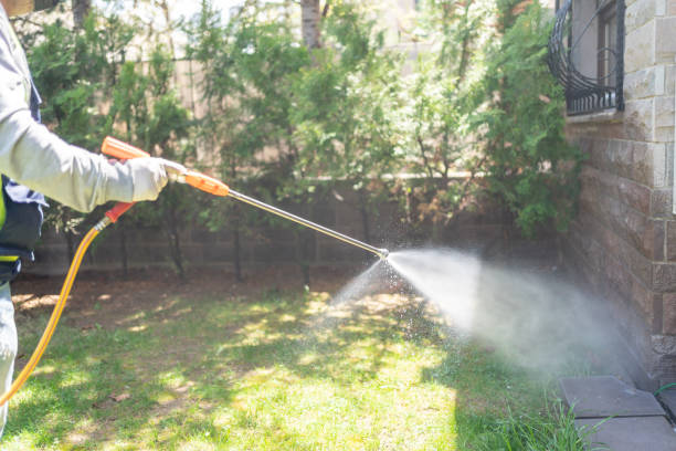 Best Mosquito Control Services  in Brighton, CO